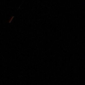 Meet your Posher, Flor